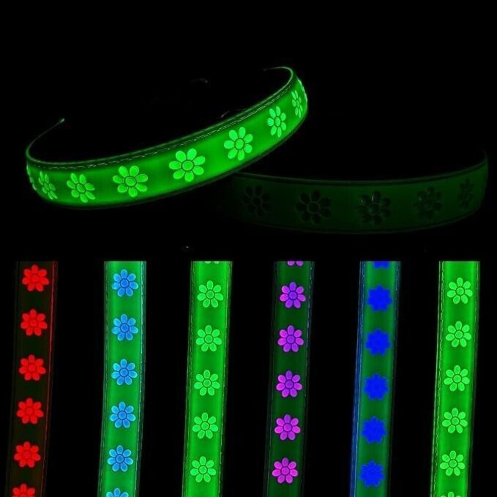 Subversive USB-C led Light up Dog Collar, Subversive 3D Sunflower Design...